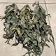 36 Mixed Lot Vintage Usgi Army Military Alice Molle Pack Shoulder Straps Lc-1 Od