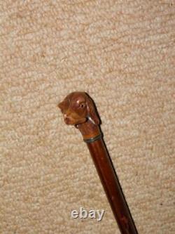 Antique Military Swagger Stick With Hand-Carved Grotesque Spaniel Dog Head Top