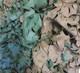 Genuine Green Brown Camouflage Netting Army Military Surplus New