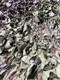 Grade1 Genuine British Army Camouflage Camo Net Netting Hunting Military Den Mk7