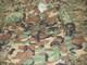 Lot Of 9 Us Army Military Winter Weight Bdu Woodland Small Regular Nos