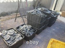 USGI Army MOLLE Field Gear Lot 5500+ Pieces ACU/UCP Mil. Surplus local Pickup