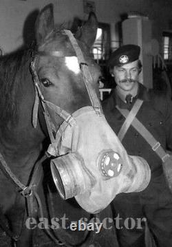 Vintage Ex-Army Horse Mask Cold War Warsaw Pact Era FULL SET Military KSPM